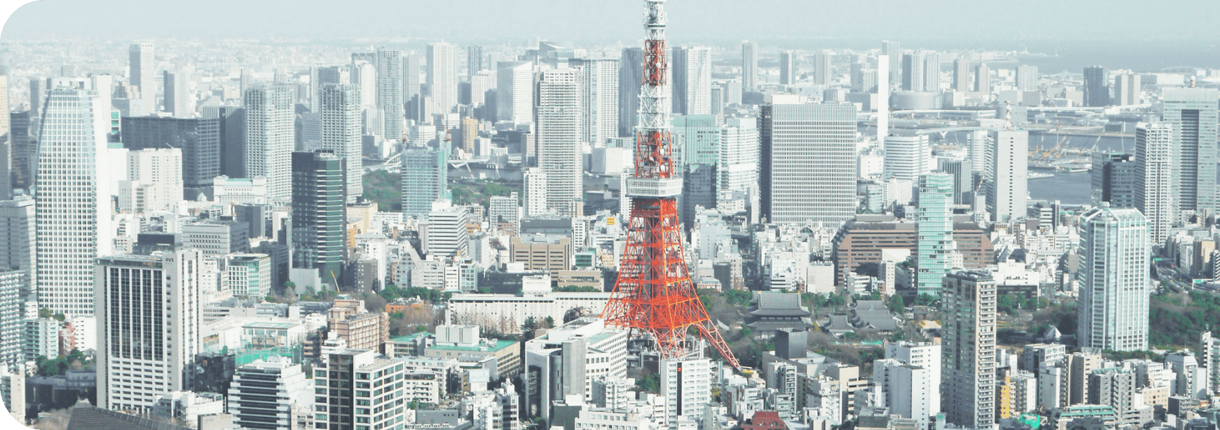 東京エリアのイメージ