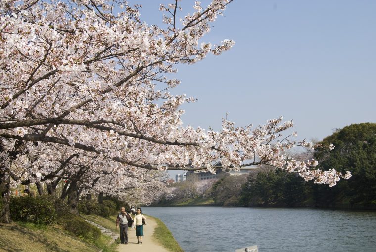 アパート経営カタログ刷新中！！