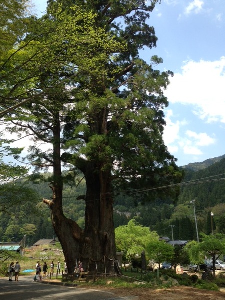 ドライブ＆ハイキング