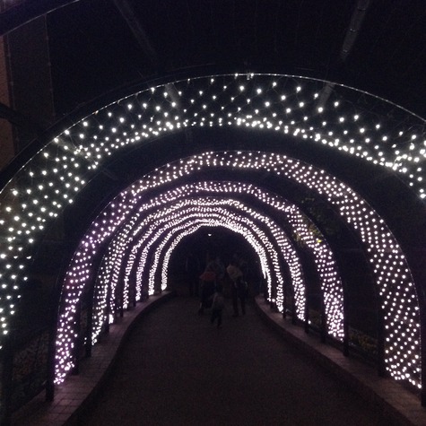 一年を振り返って・・・