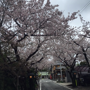 新生活と新年度