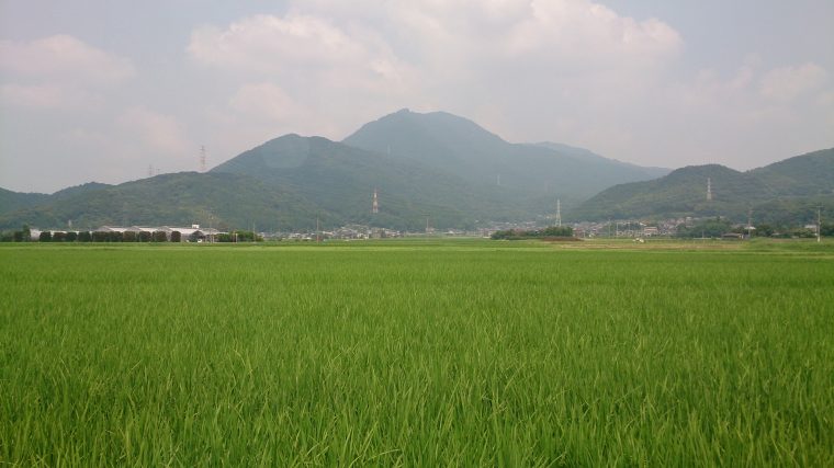 地元の夏祭り。