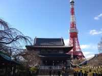 東京タワーと芝増上寺