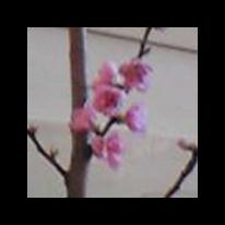 自動車メーカー