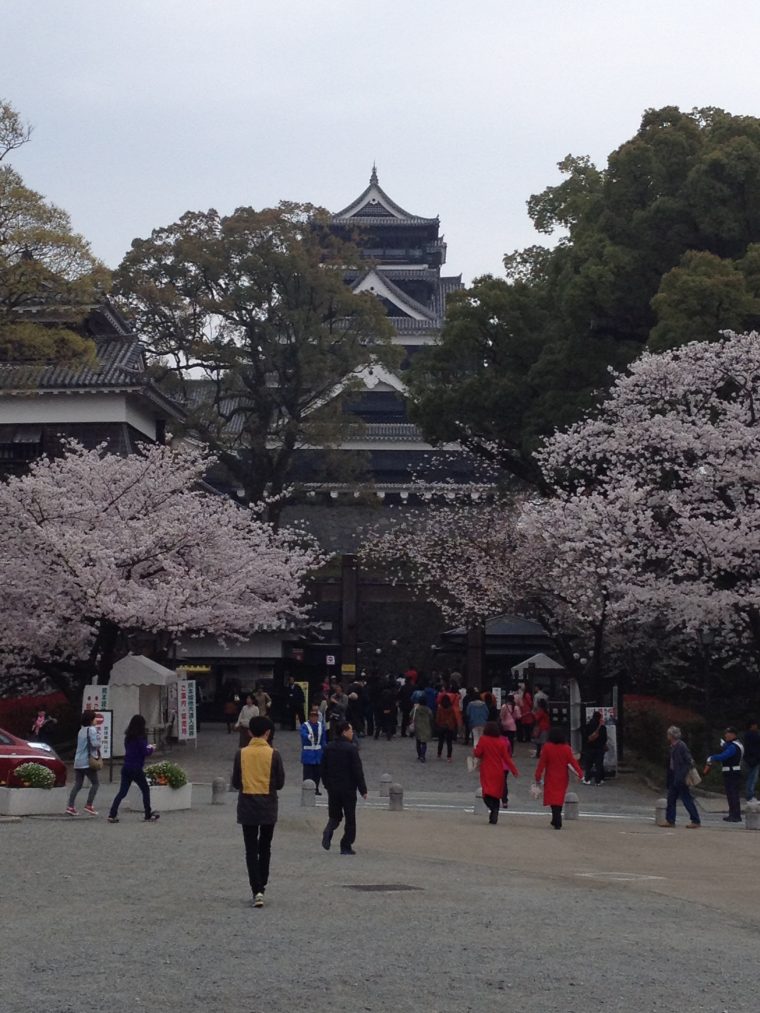 花見したかったな～。