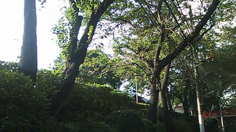 夏が去り、秋が来る