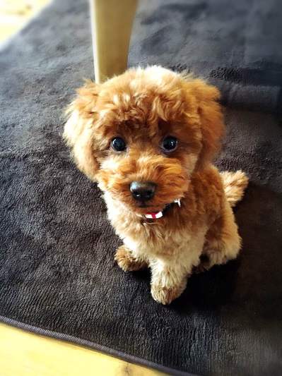 「平成28年熊本地震」心よりお見舞い申し上げます。