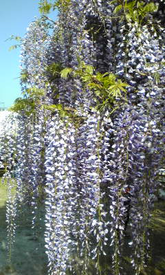 高圧洗浄で物件ピッカピカ！