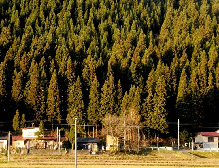 春までもう少し