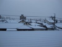 雪雪雪