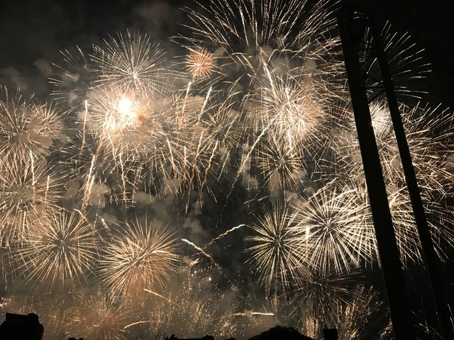 季節はずれの・・・・