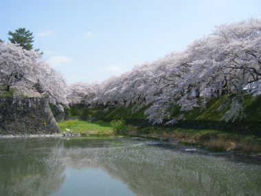 春の名古屋城