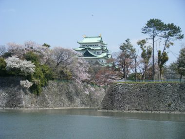 名古屋城観光