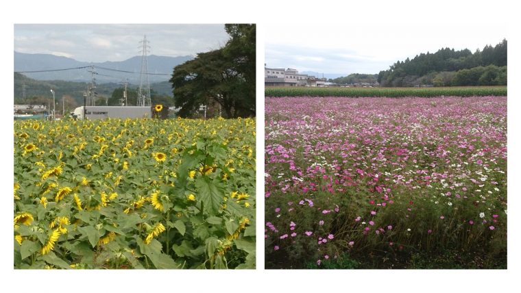 福岡市地下鉄空港線　西新駅徒歩圏マンション