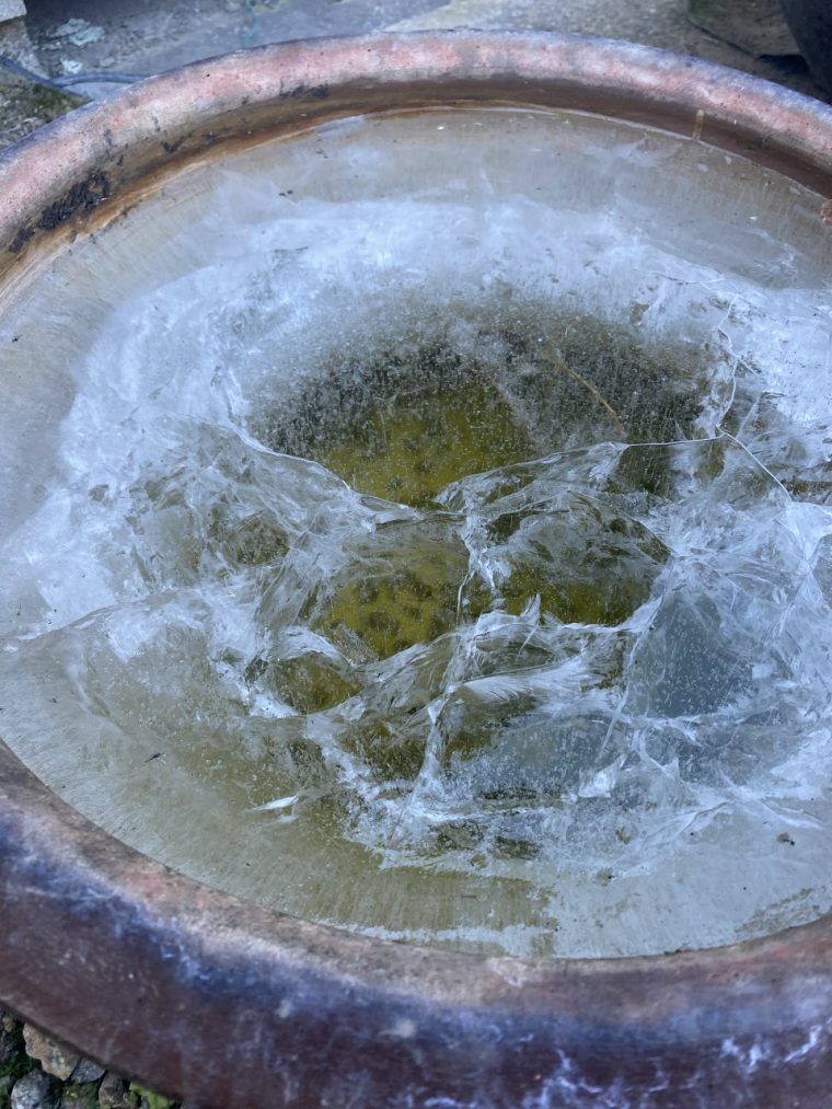 コロナをやり過ごす