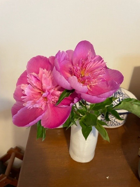 ☆駅近物件あります☆