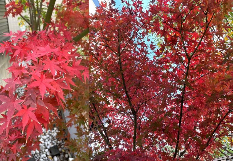 福岡市　新築マンション紹介