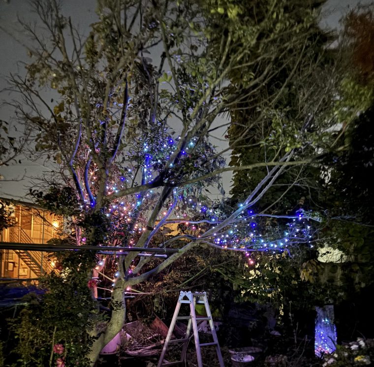 年の瀬が近づいてきました