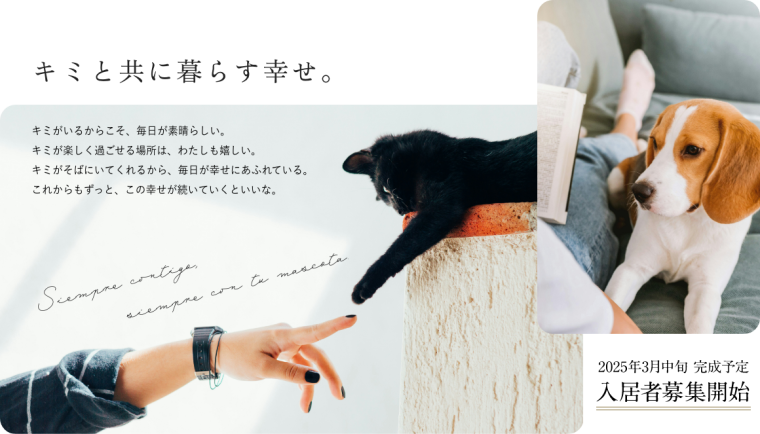 ネコちゃんの爪とぎ対策