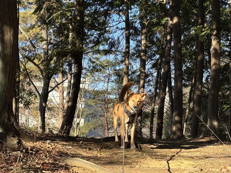 花粉症対策！？