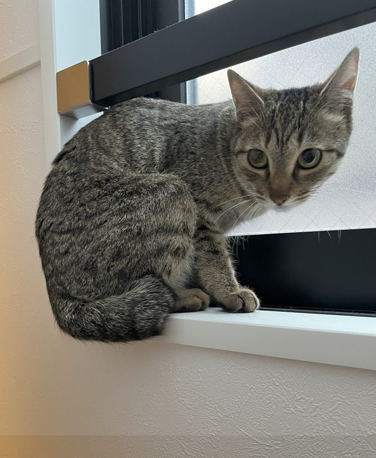 二年目も頑張ります!