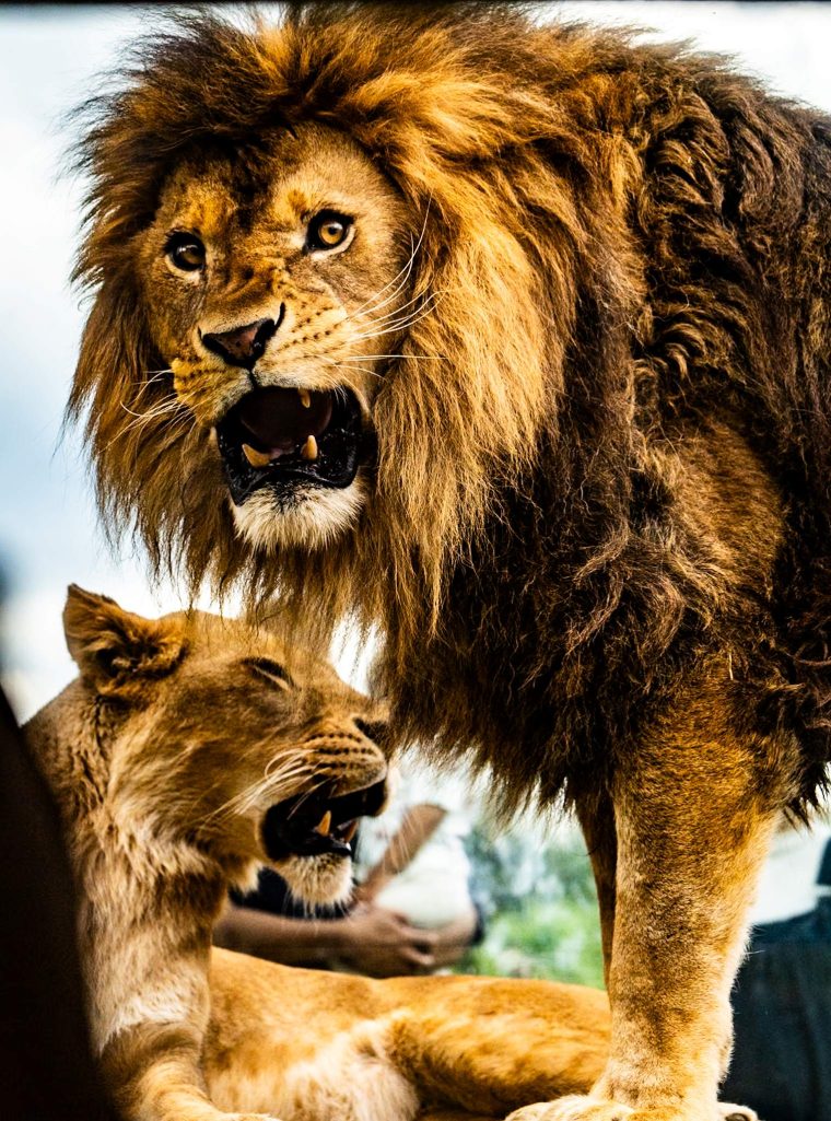 不動産投資の世界で織田信長になりたい