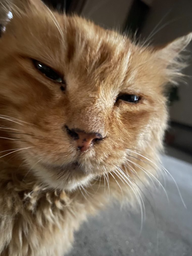 不動産営業後の密かな楽しみ