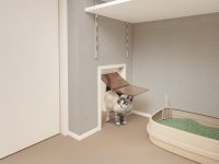 福岡 ペット共生新築マンション