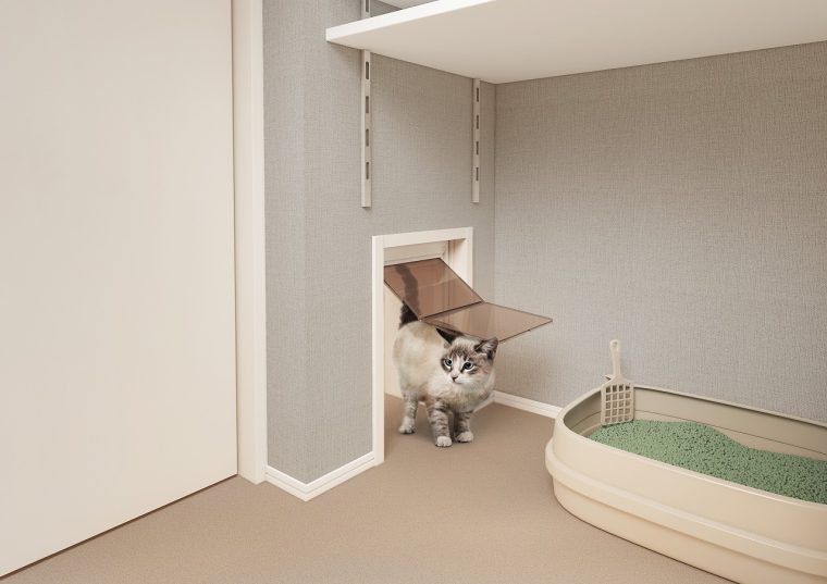 福岡　ペット共生新築マンション