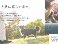犬派？猫派？どちらが人気？