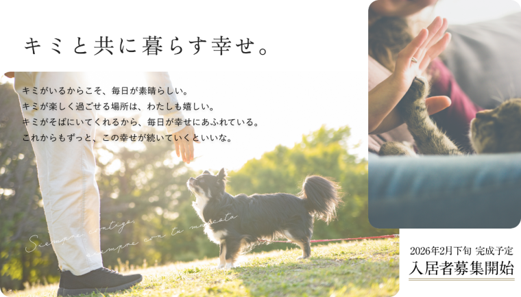 犬派?猫派?どちらが人気?