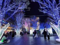 光の街・博多2025