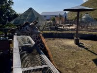 伊豆シャボテン公園へ行ってきました