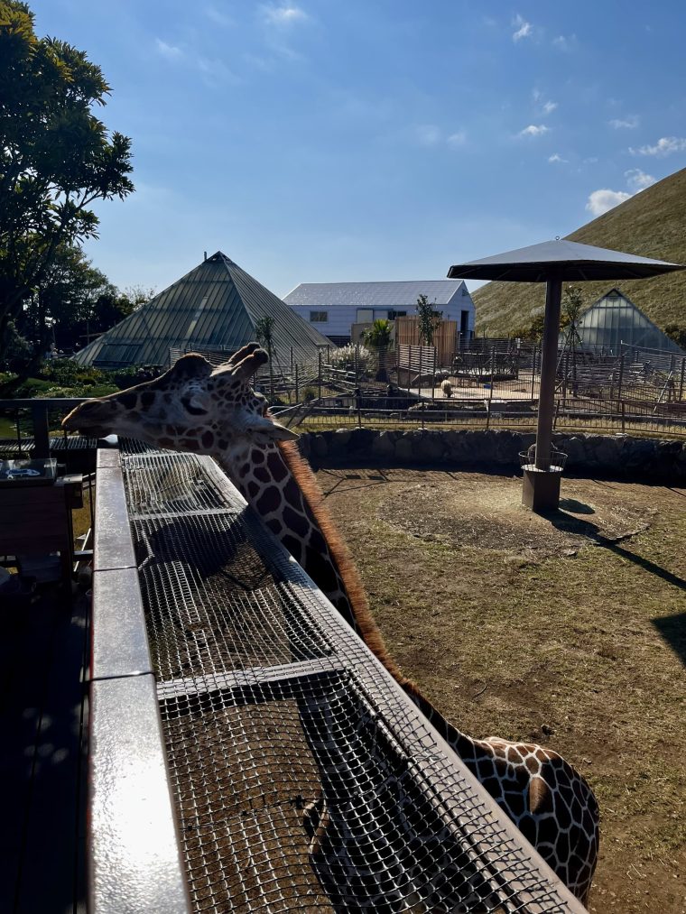 伊豆シャボテン公園へ行ってきました