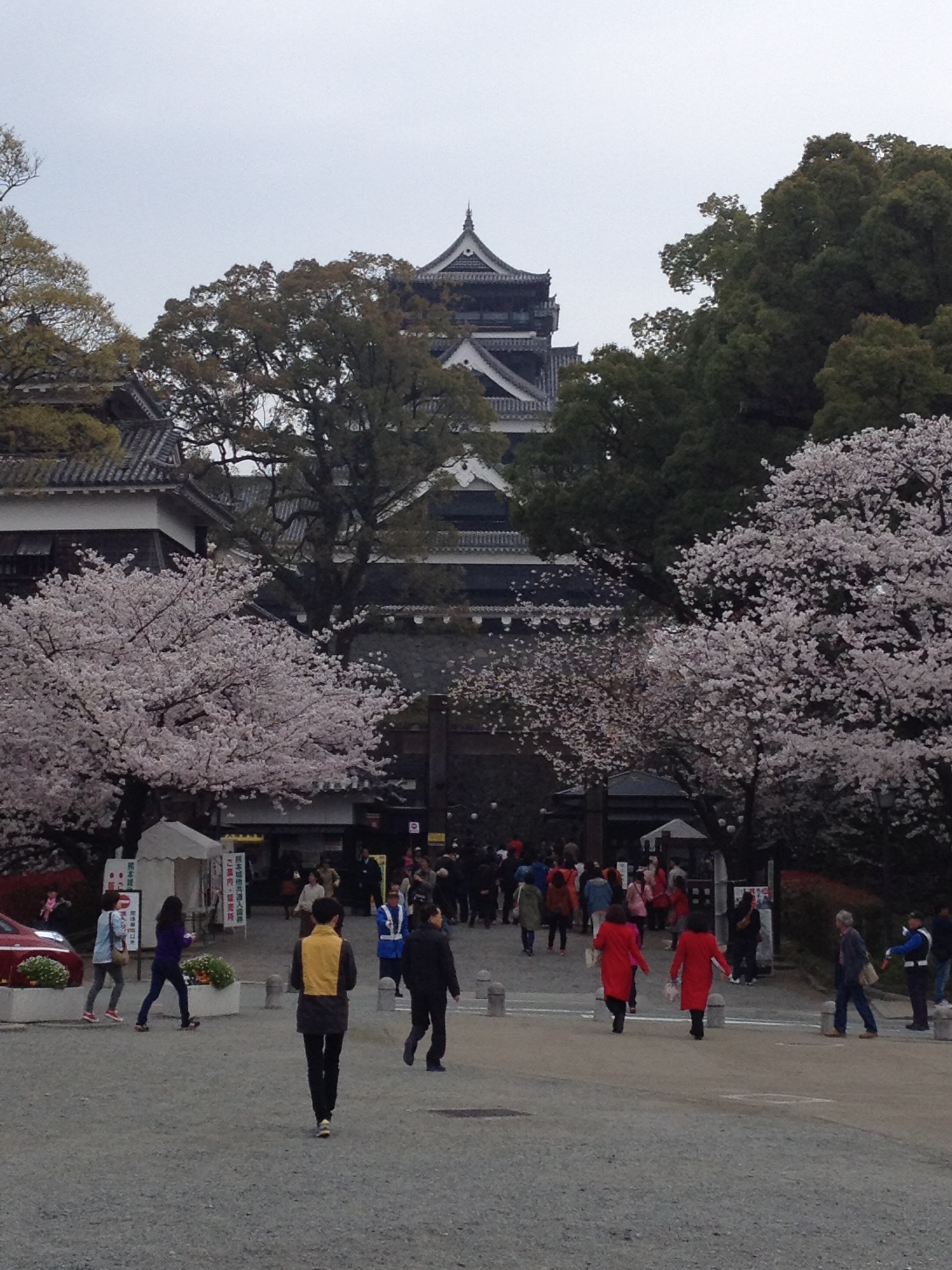 桜　熊本城 001.jpg